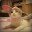 猫叔大大
