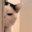 CatBigStrong