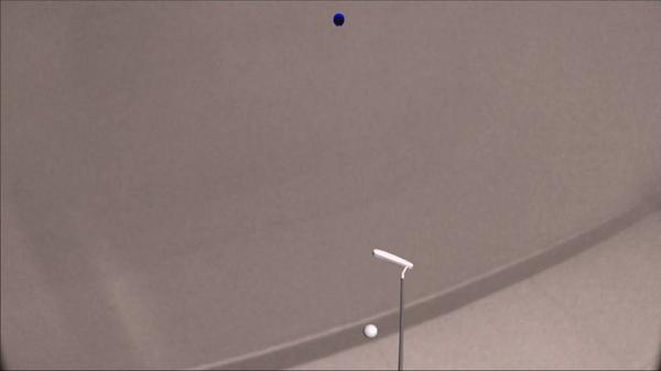 迷你高尔夫AR（MiniGolf AR）- Meta Quest游戏