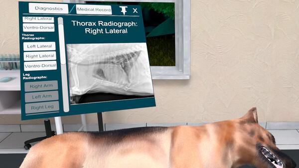兽医模拟器VR（VetVR Veterinary Simulator）
