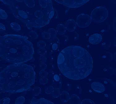 不规则碎片(VR Fractals)