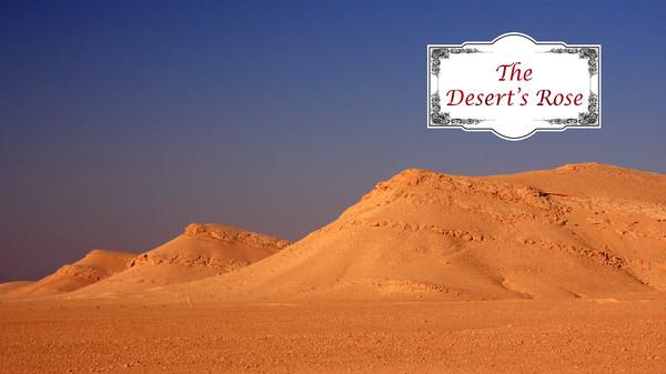 沙漠的玫瑰 （The Desert's Rose）