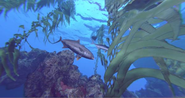 埃佩克斯行动 VR(Shark Week： Operation Apex)