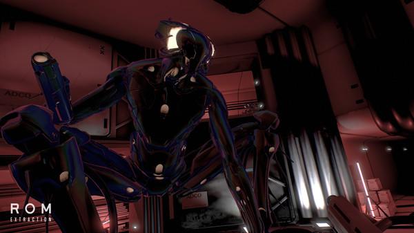 ROM：提取 (ROM： Extraction)