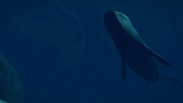 虚拟北极探险（Virtual Arctic Expedition）