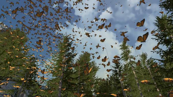 与蝴蝶共舞（Dances with Butterflies VR）