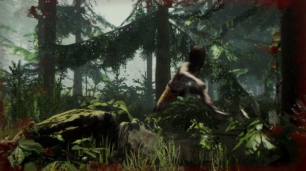 森林（The Forest）