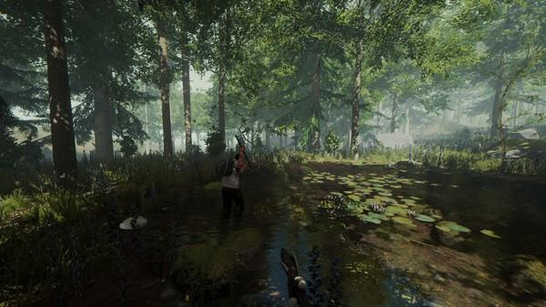 森林（The Forest）