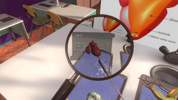 解剖模拟器青蛙版（Dissection Simulator： Frog Edition）