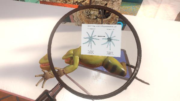 解剖模拟器青蛙版（Dissection Simulator： Frog Edition）