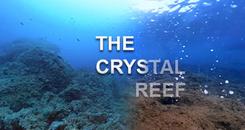 VR电影体验—水晶礁（The Crystal Reef）