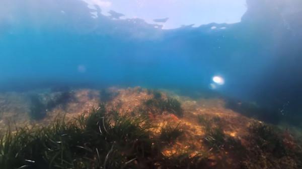 VR电影体验—水晶礁（The Crystal Reef）