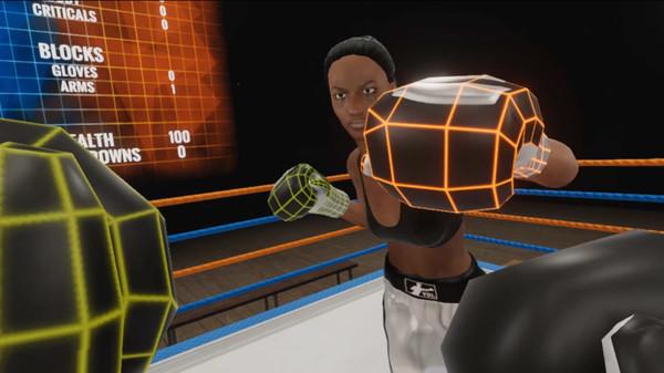 虚拟拳击联盟（Virtual Boxing League）