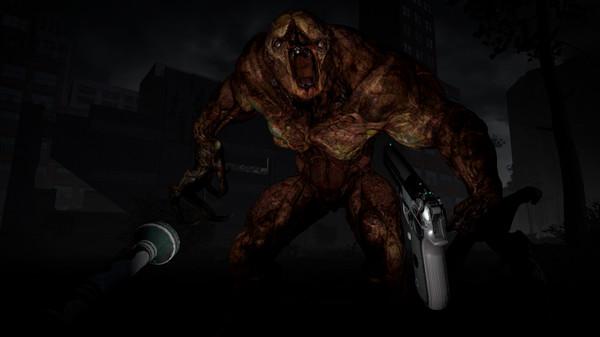 布鲁克海文实验(The Brookhaven Experiment)