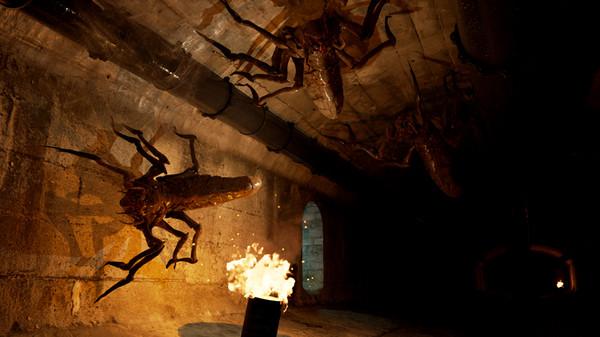 布鲁克海文实验(The Brookhaven Experiment)