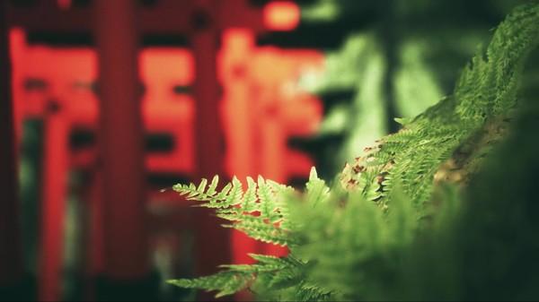 探索伏见稻荷大社 DLC版（Explore Fushimi Inari）