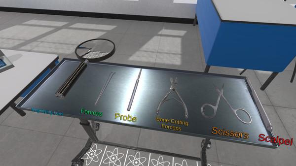 解剖模拟器：猪版（Dissection Simulator： Pig Edition）