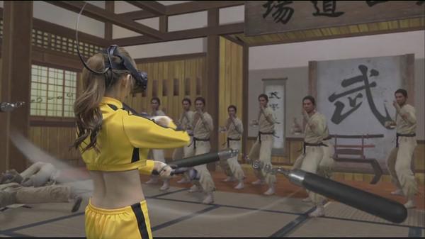 功夫全明星VR（Kung Fu All-Star VR）