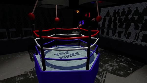 迷宫VR（The Maze VR）