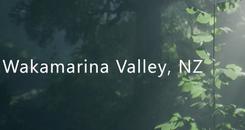 新西兰瓦卡马里纳山谷（Wakamarina Valley, New Zealand）