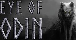 奥丁之眼VR(Eye of Odin)