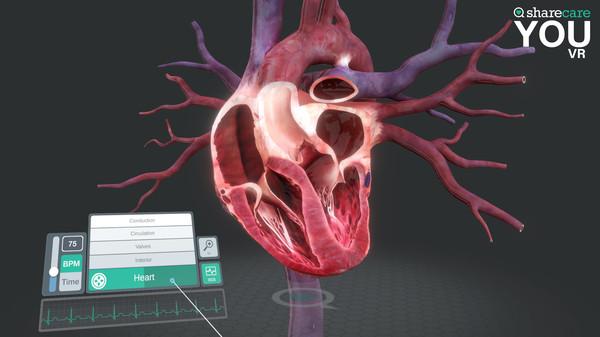 3D人体模拟（Sharecare YOU VR）