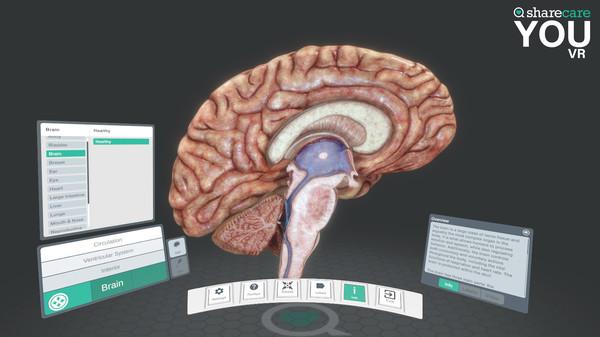 3D人体模拟（Sharecare YOU VR）
