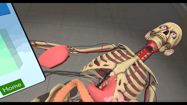 人体构造VR（Human Constructor VR）