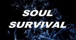灵魂求生VR（Soul Survival VR）