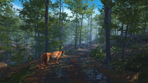 拯救大猫VR（Big Cat Rescue VR）
