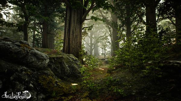 触摸花瓣：VR版(Reaching for Petals： VR Edition)