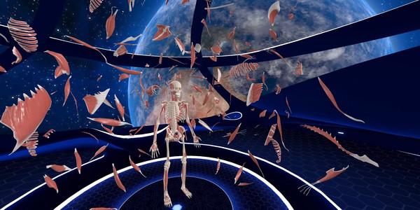 基础解剖学VR（Elementary Anatomy： With Story Mode）