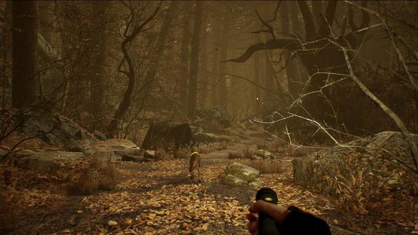 布莱尔女巫（Blair Witch VR）