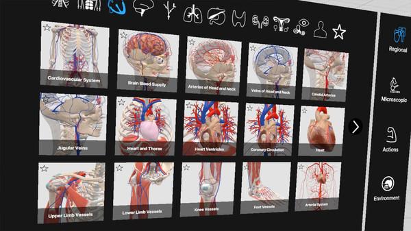 日常解剖学VR（Everyday Anatomy VR）