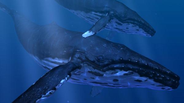 海洋裂谷 汉化中文版（Ocean Rift）- Oculus Quest游戏