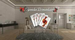 VR纸牌游戏-蜘蛛纸牌（TripeaksDreamland VR）- Oculus Quest游戏
