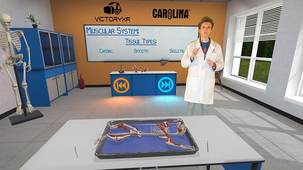解剖猫咪-解剖猫科动物（Cat Dissection）- Oculus Quest游戏