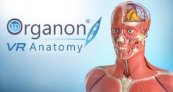 3D Organon VR 人体解剖学（3D Organon VR Anatomy）- Oculus Quest游戏