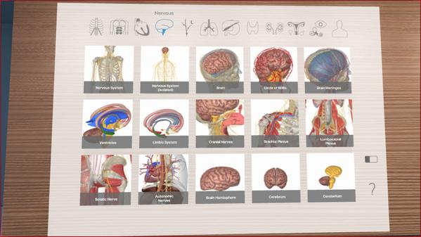 3D Organon VR 人体解剖学（3D Organon VR Anatomy）- Oculus Quest游戏