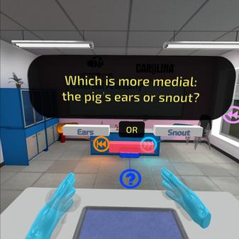 解剖家猪（VR Pig Dissection： Hoggin’ the Scalpel）- Oculus Quest游戏