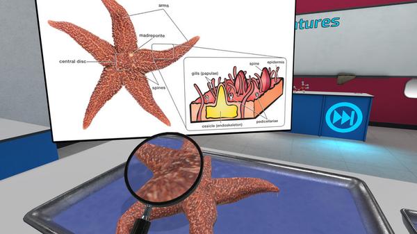 解剖无脊椎动物（VR Squid and Seastar Dissection）- Oculus Quest游戏
