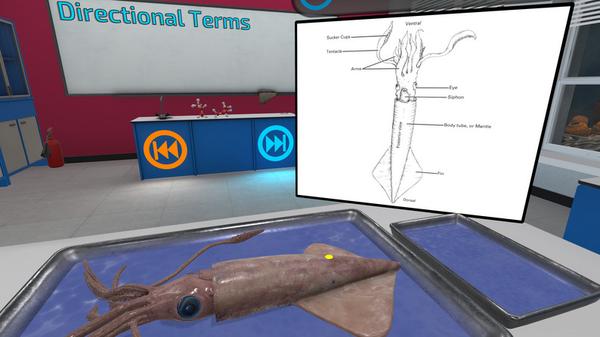 解剖无脊椎动物（VR Squid and Seastar Dissection）- Oculus Quest游戏
