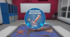 解剖无脊椎动物（VR Squid and Seastar Dissection）- Oculus Quest游戏