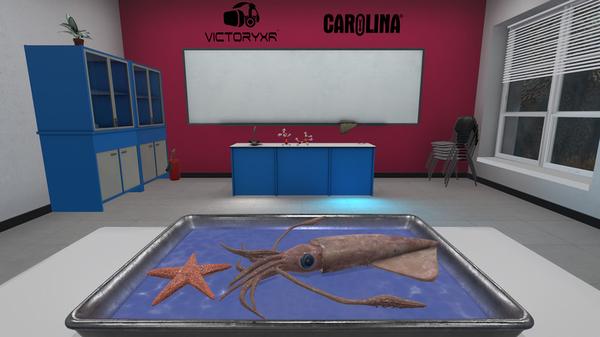 解剖无脊椎动物（VR Squid and Seastar Dissection）- Oculus Quest游戏