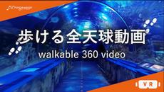 步行360度全景视频（Walkable 360 Video）- Oculus Quest游戏