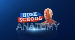 高中解剖学 VR（High School Anatomy for Quest）- Oculus Quest游戏