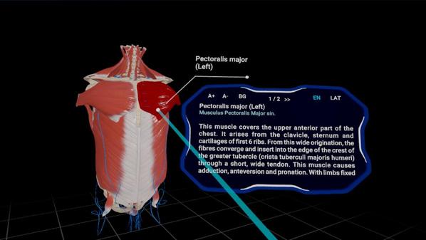 Quest高中解剖学 汉化中文版（High School Anatomy for Quest）- Oculus Quest游戏