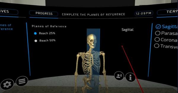 人体骨科VR（Human Osteology VR）- Oculus Quest游戏