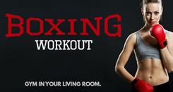 拳击运动VR(VR Boxing Workout)