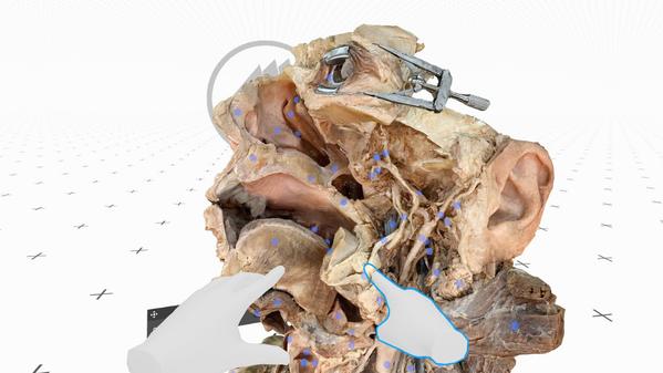 医疗全息甲板解剖大师XR（Medicalholodeck is Dissection Master XR）- Meta Quest游戏